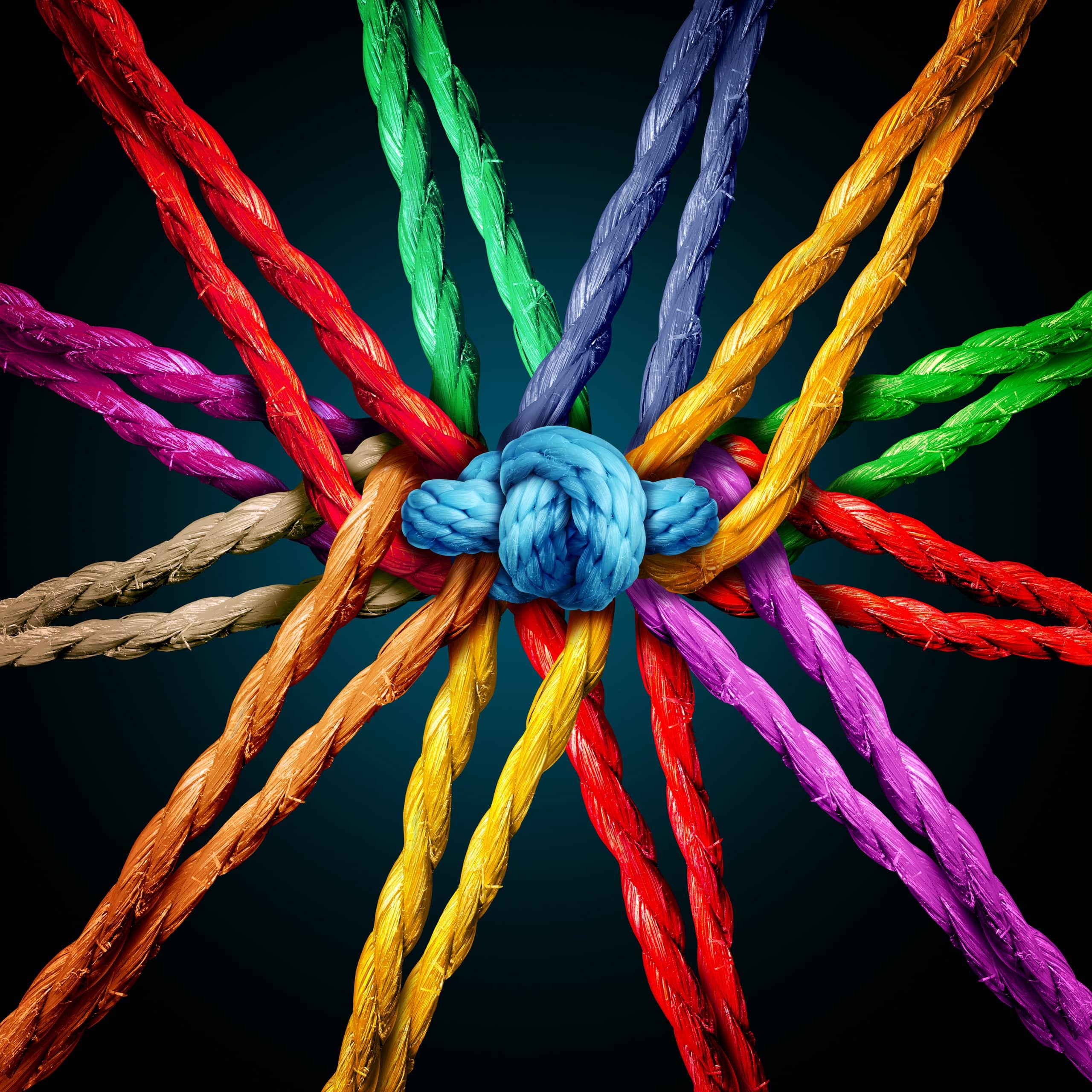 Business ecosystems